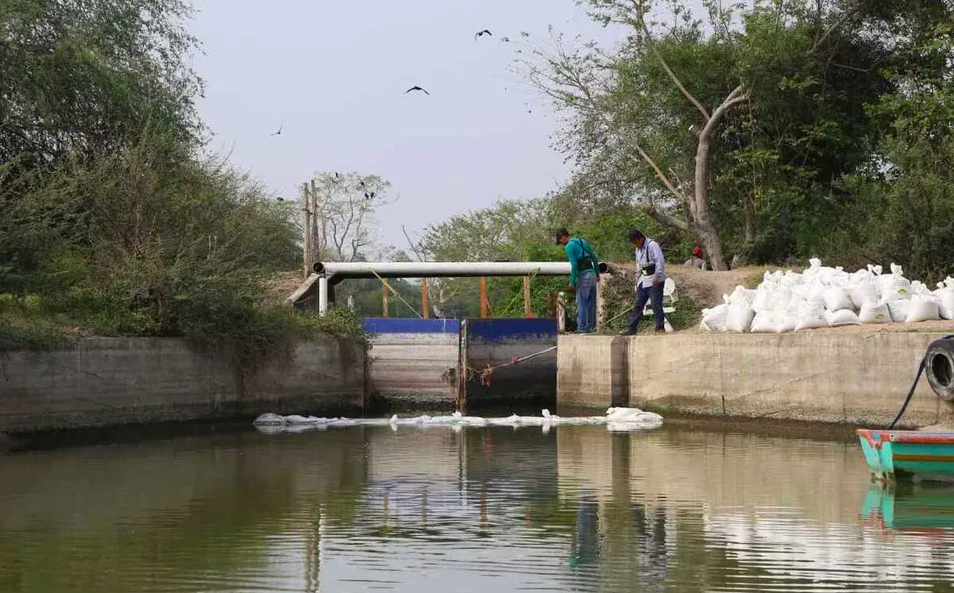 Tamaulipas – Proponen reubicar diques para garantizar agua en el sur de Tamaulipas (Milenio)