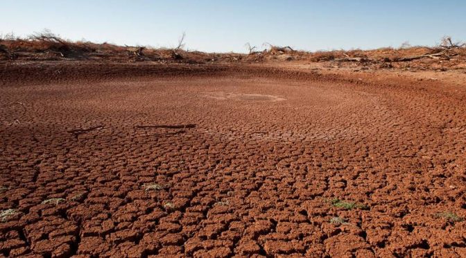 Texas – ¿Qué tan mal está la sequía en Texas? Pagan a agricultores para no usar agua (El Financiero)