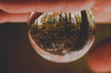 CDMX-CDMX incorpora el concepto de “Bosque de Agua” a la Ley Ambiental (Contra República)