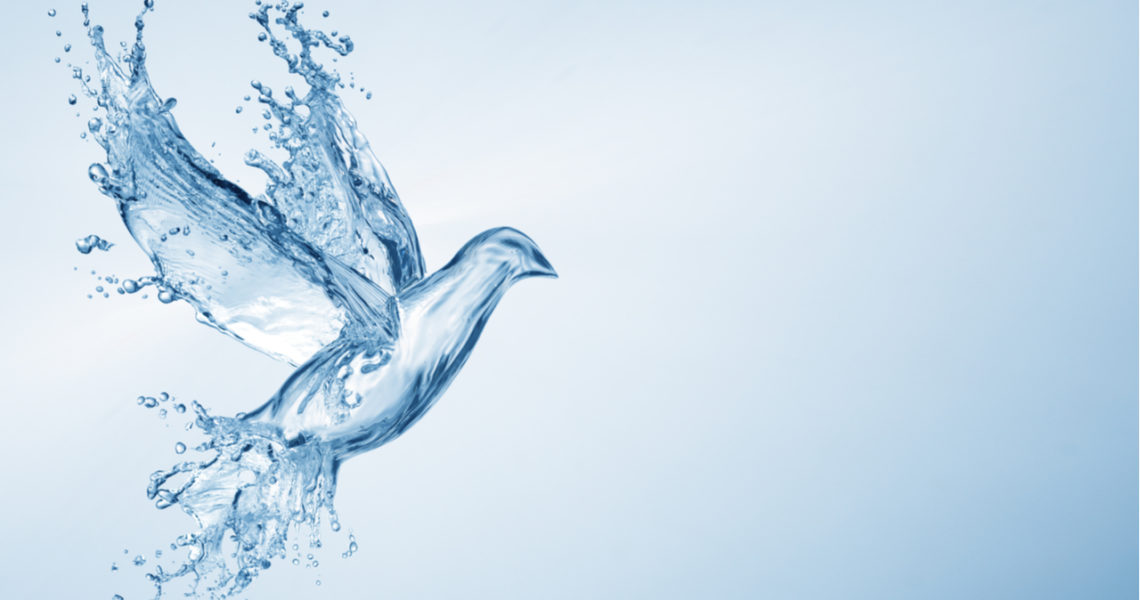 Agua