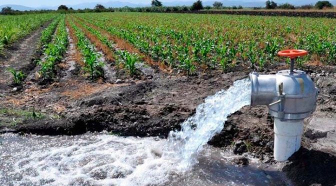 Chihuahua  – Por definir, agua para ciclo agrícola (El Diario)