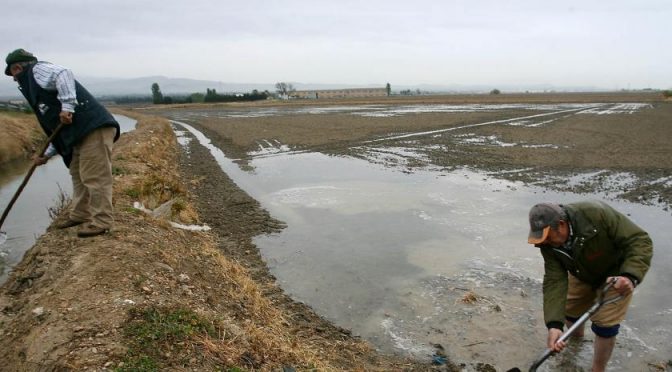España – Cómo apaciguar la sed agrícola con menos agua (La Vanguardia)