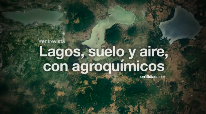 Michoacán – Impactos socioambientales del uso de glifosato en las cuencas de Pátzcuaro y Chapala (en15días)