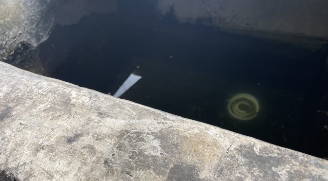 Tuxtla – Más de un mes sin agua, denuncian en barrio de Tuxtla (AlertaChiapas)