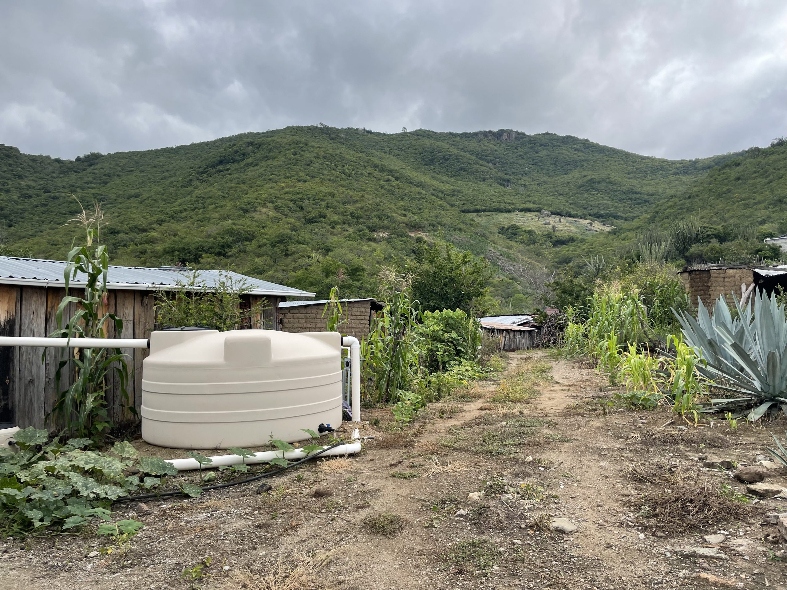 Guerrero – Instalan sistemas de captación de agua en Acapulco y Copala tras paso de huracanes (Tecnoempresa)