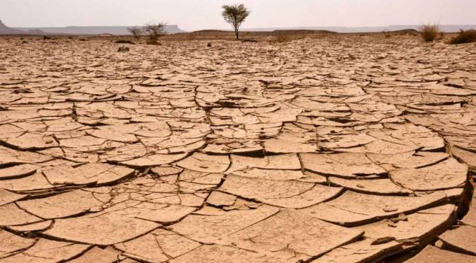 Etiopía – Etiopía llama a fundar alianza mundial para afrontar cambio climático (Prensa Latina)