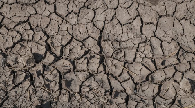 Baja California – ¿Sequía o saqueo? La crisis de agua en el Valle de Mexicali (Pie de Página)