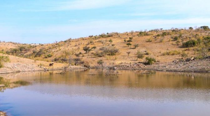 Guanajuato-Mejoran sistema de captación de agua en comunidades (El Sol de Irapuato)