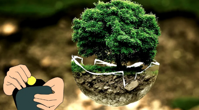 Edo. de Méx.- Edomex analiza ofrecer descuentos al pago de agua por árboles sembrados en casa (Milenio)
