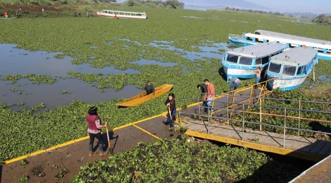 Michoacán – La UIIM instalará un laboratorio para atender problemáticas del Lago de Pátzcuaro (Cambio de Michoacán)