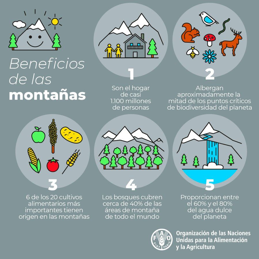 Beneficios de las montañas – Infografía (ONU México)