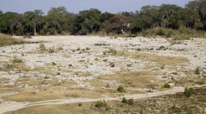 Tamaulipas – Tamaulipas, el estado con más sequía en México: Conagua (Imagen Radio)