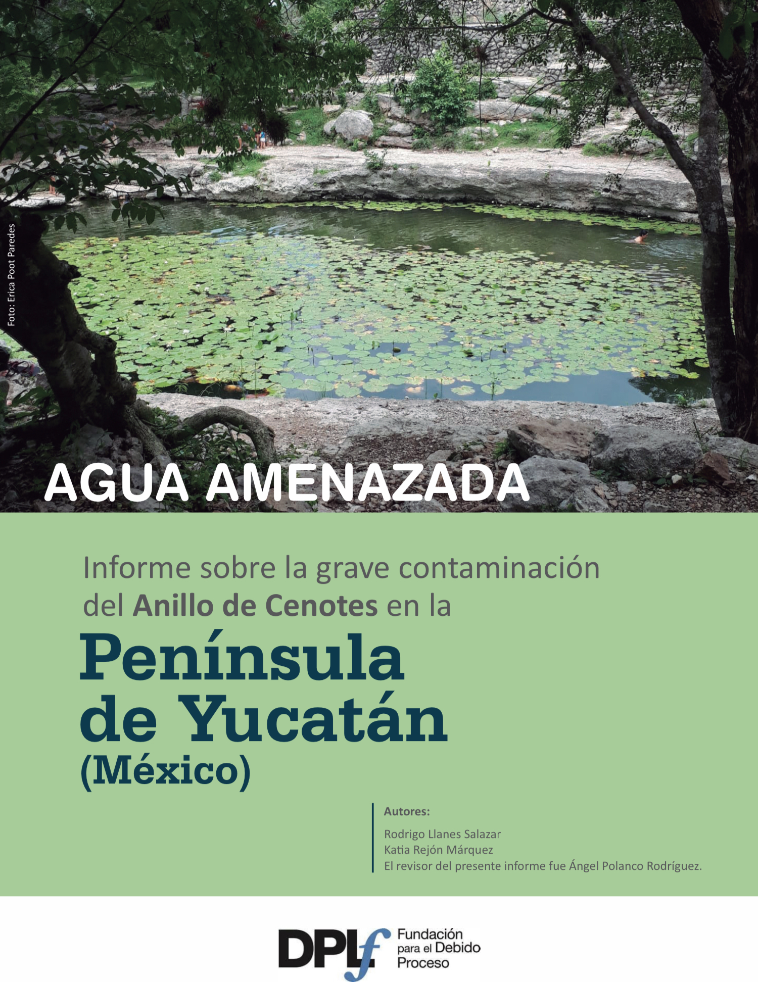 Agua Amenazada: Informe sobre la grave contaminación del Anillo de Cenotes en la Península de Yucatán (DPFL)