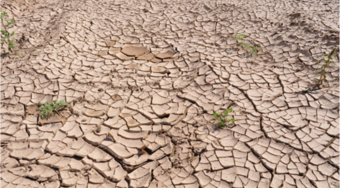 Hidalgo – Se intensifica sequía en Hidalgo, 10 municipios en condición extrema (Criterio)
