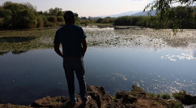 Michoacán-La Mintzita, la colonia ecológica que lucha por no desaparecer [Video] (El Sol de Morelia)