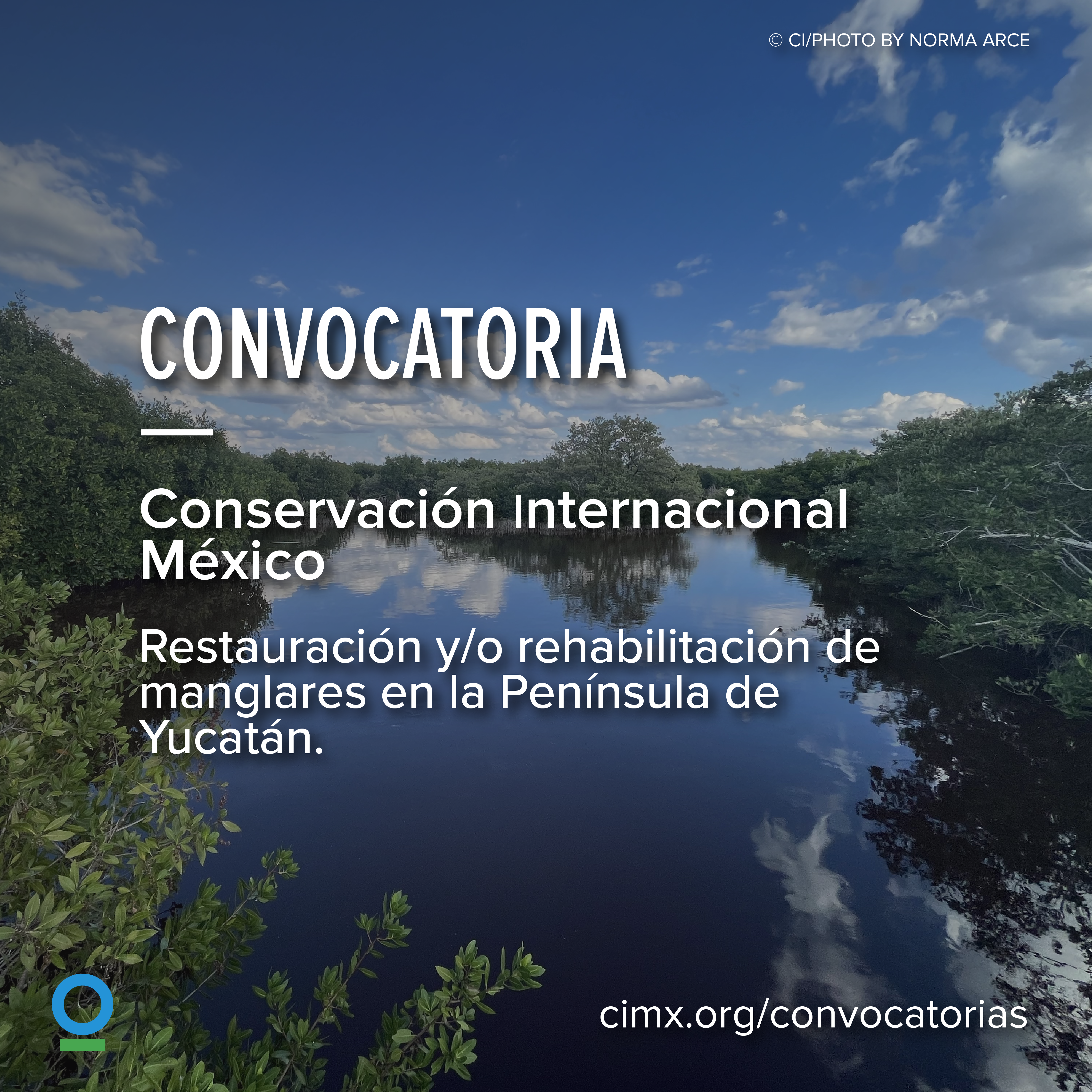 Restauración y/o rehabilitación de manglares en la Península de Yucatán (Conservation International)