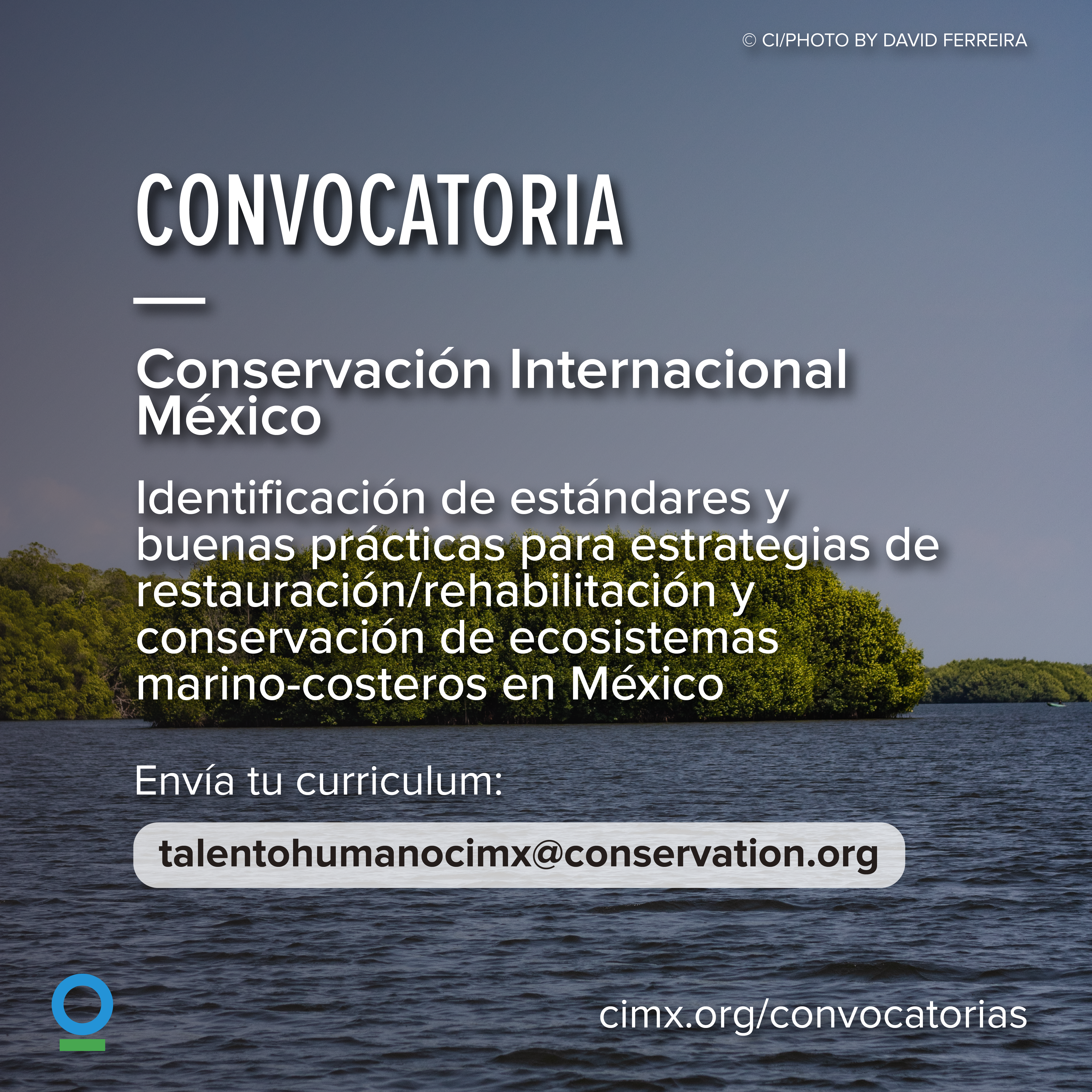 Identificación de estándares y buenas prácticas para estrategias de restauración/rehabilitación y conservación de ecosistemas marino-costeros en México. (CIMX)