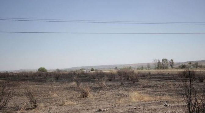 Guanajuato – Guanajuato está próximo a quedarse sin agua, advierte la Secretaría de Agricultura (AM)