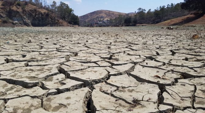 Guanajuato-Sequía amenaza a 6 municipios de Guanajuato; agua se va en agricultura (Correo)