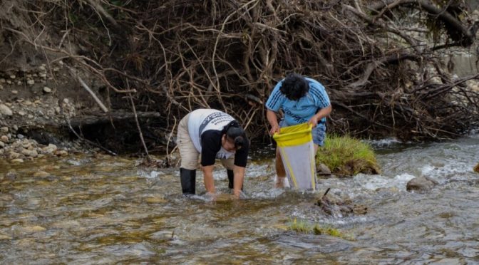 Mundo – Mujeres monitorean calidad del agua de ríos en Perú para cuidar la vida (IPS)