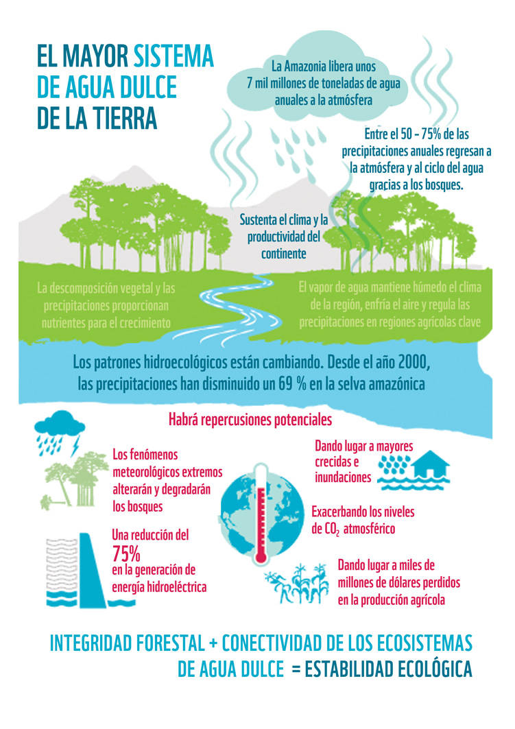 Infografía – Amazonia: El mayor sistema de agua dulce de la tierra (WWF)