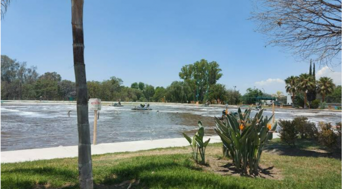 México – Empresa Ponderosa, ejemplo en reutilización del agua (El Sol de San Juan del Río)