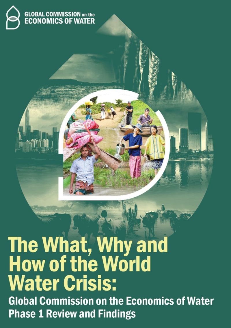 “El qué, por qué y cómo de la crisis mundial del agua” (GCEW)