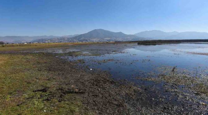 México – Conagua publica el Monitor de Sequía de México tras 15 días a ciegas por hackeo (Excelsior)