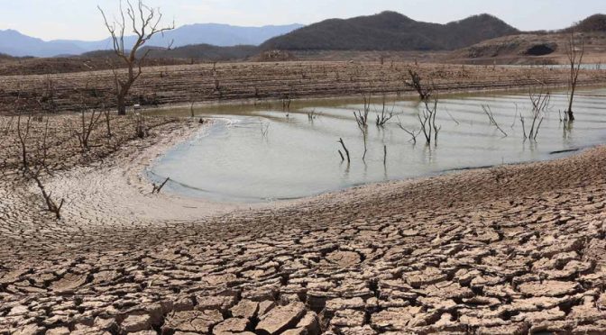 Sinaloa – Sequía en Sinaloa: Más de 200 comunidades enfrentan desabasto de agua (Excelsior)