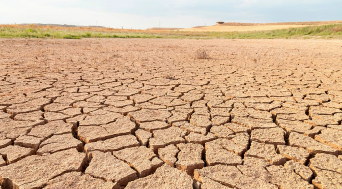 Mundo – Del cambio climático a la mala gestión del agua: causas y consecuencias de la sequía (BBVA)