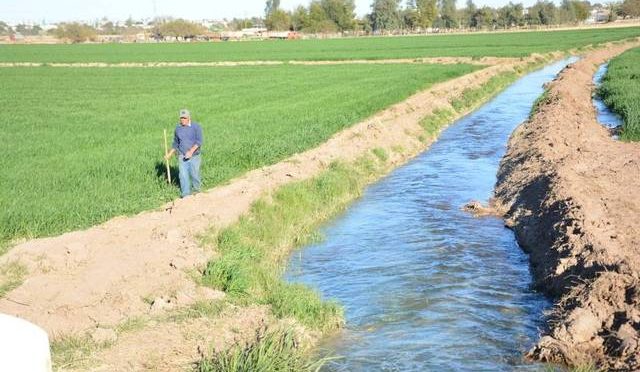 Baja California-Agua rojiza puede afectar los cultivos (La Voz)