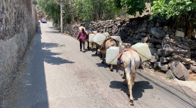 Xochimilco – Ante falta de agua en Xochimilco, pobladores la acarrean en burros (La Jornada)