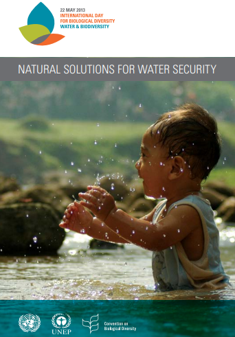 “Soluciones naturales para la seguridad del agua” (CDB)
