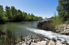 Internacional-Remontar el río con poca agua (El Economista)
