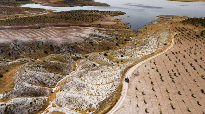 Baja California Sur-Investiga Conagua extracción de arena en arroyo El Tule (Diario El Independiente)