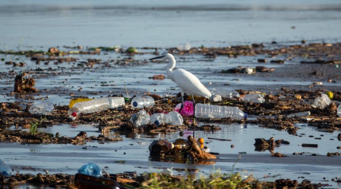 Mundo-Día Mundial del Medio Ambiente 2023: En busca de eliminar la huella plástica (National Geographic)