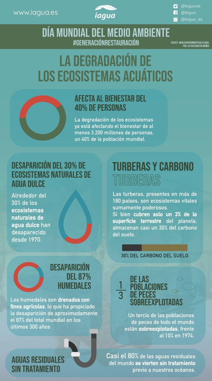 La degradación de los ecosistemas acuáticos: Infografía por el Día Mundial del Medio Ambiente 2021-Infografia (iagua)