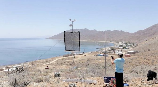 Baja California Sur-Busca UABCS captar agua con atrapanieblas (El Sudcaliforniano)