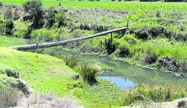 Hidalgo-Plantean soluciones para atender contaminación de río en Ejido Agua Blanca (El Sol de Tulancingo)