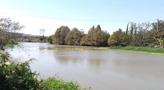 Jalisco-Autoridades de Ocotlán en contacto con Conagua, SIAPA y CEA para atender problemas por alto nivel de ríos (UDG Noticias)