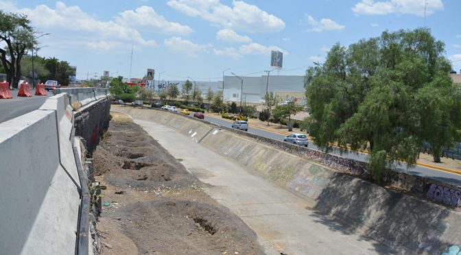 Guanajuato-Conagua descarta posibilidad de plantar más arboles en Malecón (Zona Franca)