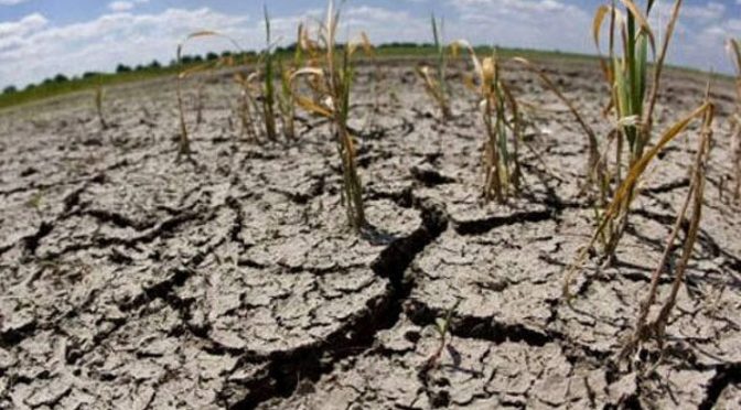 Hidalgo-Continúa sequía moderada y severa en 23 municipios de Hidalgo: Conagua (Quadratin)