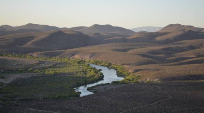 Chihuahua-Reforestan la cuenca del Río Conchos, buscan aumentar captación de agua (El Heraldo)