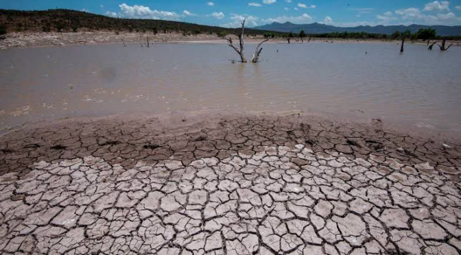 México-Grave falta de agua; muy poco se hace (Puntual)