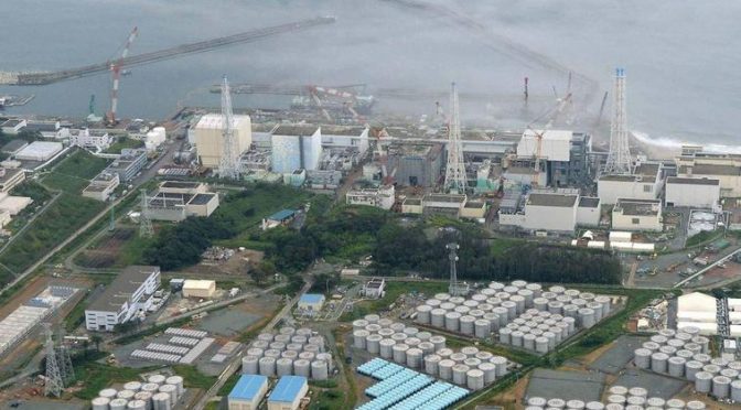 Mundo-Miedo, indignación y asombro ante el vertido de agua radiactiva en Fukushima (El Correo)