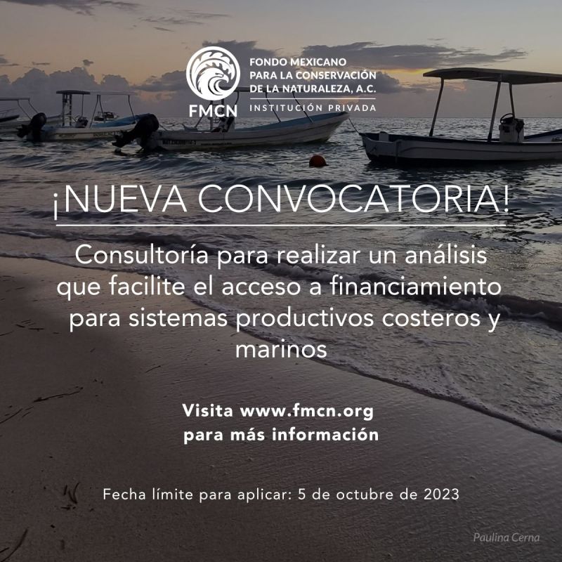 Vacante: Consultoría para Análisis y recomendaciones para facilitar el acceso a financiamiento para sistemas productivos costeros y marinos (FMCN)