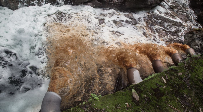 Veracruz – Aguas negras al río y gases tóxicos: así contaminaba una planta operada por una empresa japonesa en Veracruz (El País)