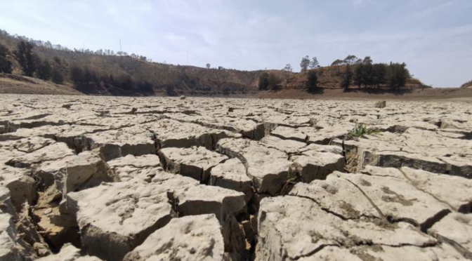 Guanajuato – Enfrentan 39 municipios de Guanajuato sequía extrema: Conagua (El Sol de Irapuato)