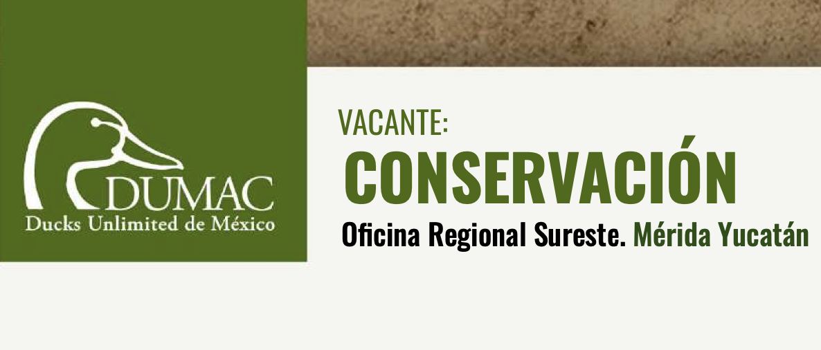 Vacante: conservación Oficina Regional Sureste (DUMAC)