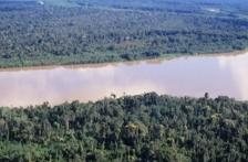 Global – Países amazónicos pierden un millón de hectáreas de superficie de agua (Forbes)